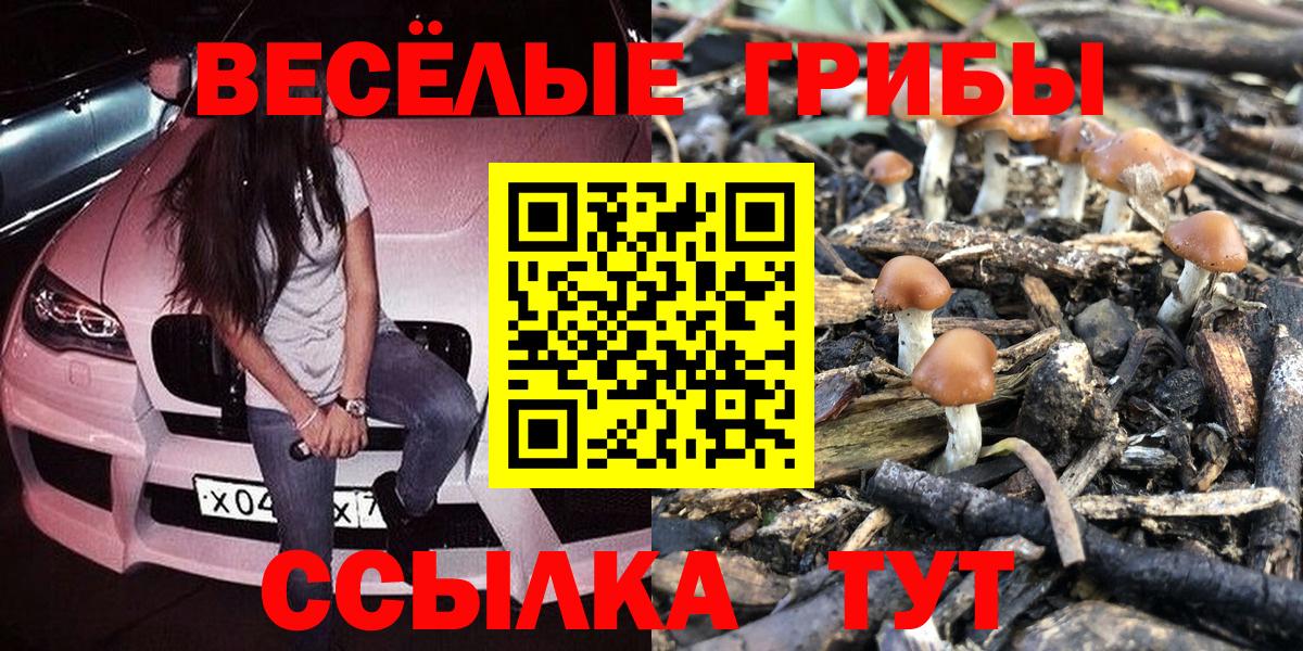 Псилоцибиновые грибы Psilocybe Клинцы