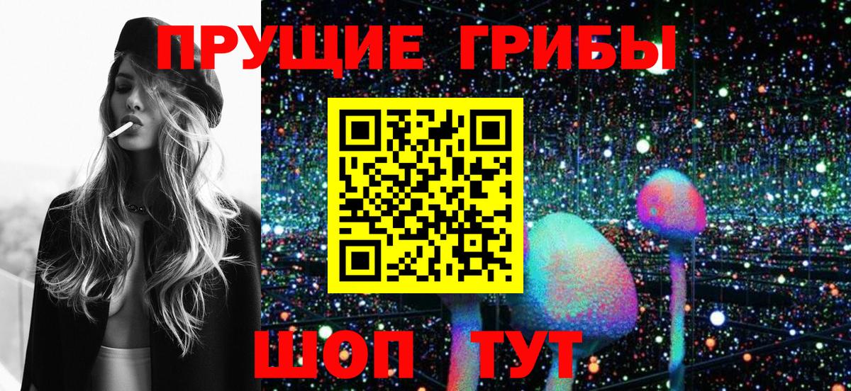 Клинцы  Псилоцибиновые грибы прущие грибы  где продают наркотики  Вход с VPN  Галлюциногенные грибы Psilocybe 